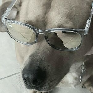 Meet your Posher, Maggie